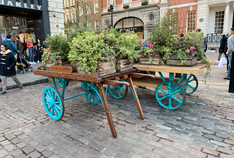 Grønne planter på Govent Garden.