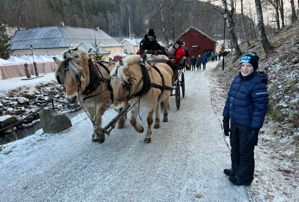 Leander ser på hest og vogn som kjører fordi.