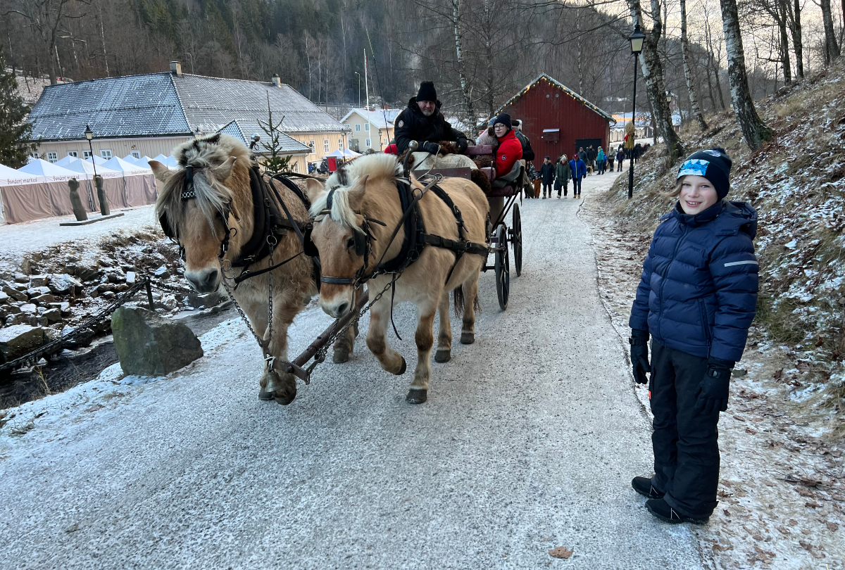 Leander ser på hester som går med slede.